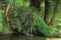 Gaerten von Alfabia Quelle