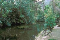 Gaerten von Alfabia Teich