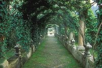 Garten von Alfabia Laubengang