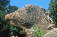 Calanche Felsen Hundekopf