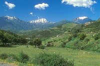 Bergwelt mit Schneegipfeln