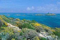 Cap Corse m I Finocchiarola