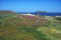 Cap Corse m Insel Giraglia