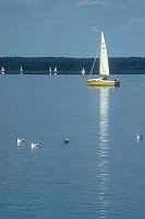 Steinhude gelbes Segelboot