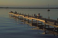 Bootssteg im Abendlicht