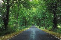 Allee Mecklenburg Vorpom