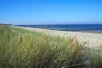Ostseestrand Zingst