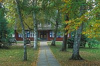 Kulturkate Prerow Baeume