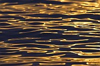 Wasserspiegelung Abendlicht