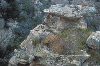 Calanche Felsen Muetzenmann