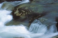 Fliessendes Flusswasser