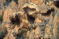 Calanche Tafoni Gestein