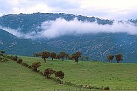 Umland von Porto Vecchio