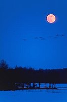 Vollmond blaue Stunde