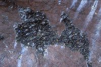 Gestein Einschluesse