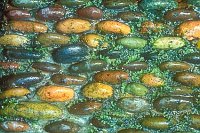 Kieselsteine Brunnen