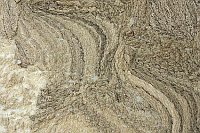 Algenschaum oder Wolle