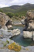 Fango Bachbett Gumpen