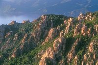 Calanche Felsen und Meer