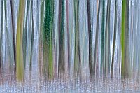 Wald im Winter kuenstl