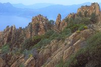 Calanche Felsenkueste