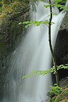 Wasserfall m Buche