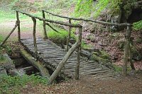 Bruecke im Wald
