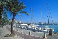 Palma Hafen