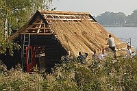 Reeddach wird gedeckt