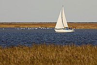 Segelboot im Bodden