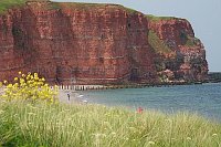 Helgoland rote Felsenkueste