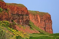 Helgoland rote Felsen