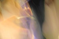 Schlangenbeschwoerung