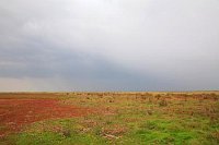 Regenwolken ueber Salzwiesen