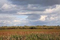 Meerbruchwiesen mit Wolken