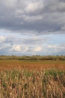 Meerbruch mit Wolkenhimmel