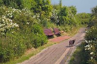 Helgoland Duenenweg Unterland
