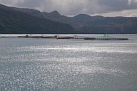 Nordfjord Fischzucht im Gegenl