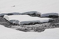 Norwegen Schnee im Gebirgsbach