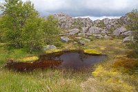 Suednorwegen Moortuempel