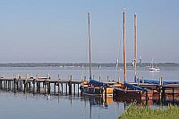 Steinhude Segelboote am Steg