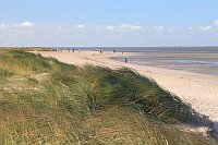 Nordseeskueste Strand Schillin
