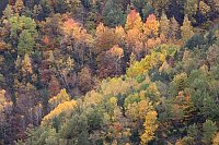 Herbstfaerbung im Escuain Tal