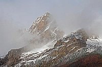 Pineta Tal Berg im Nebel