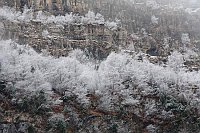 Pineta Tal Baeume mit Raureif