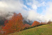 Pineta Tal Wildkirschen Wolken