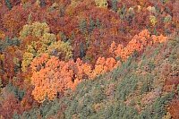 Bunte Laubfaerbung Pyrenaeen