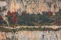 Felsenband Pyrenaeen