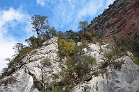 Anisclo Schlucht Berghang Baeu