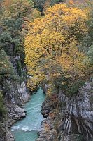 Anisclo Schlucht m Rio Bellos